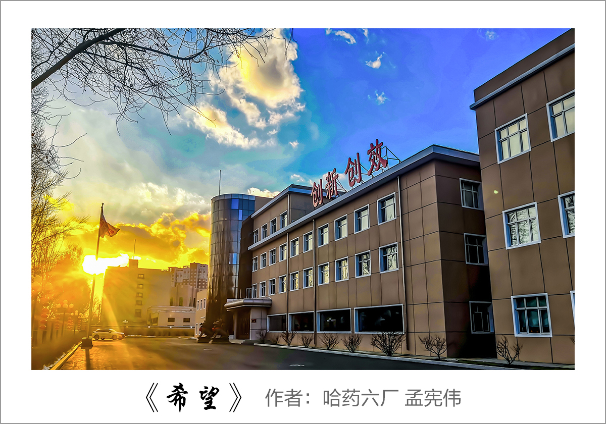 【迎國慶 展風采】我眼中的哈藥——職工攝影大賽作品展示!